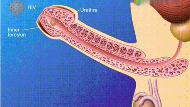 那些无套啪的人，最后都怎么样了 - 51虹马