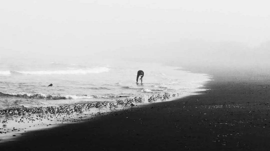 谁能告诉我：为什么我总是痴迷【大叔】？ - 51虹马