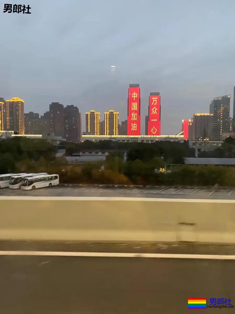 我是同志，我奋战在抗疫第一线… - 51虹马