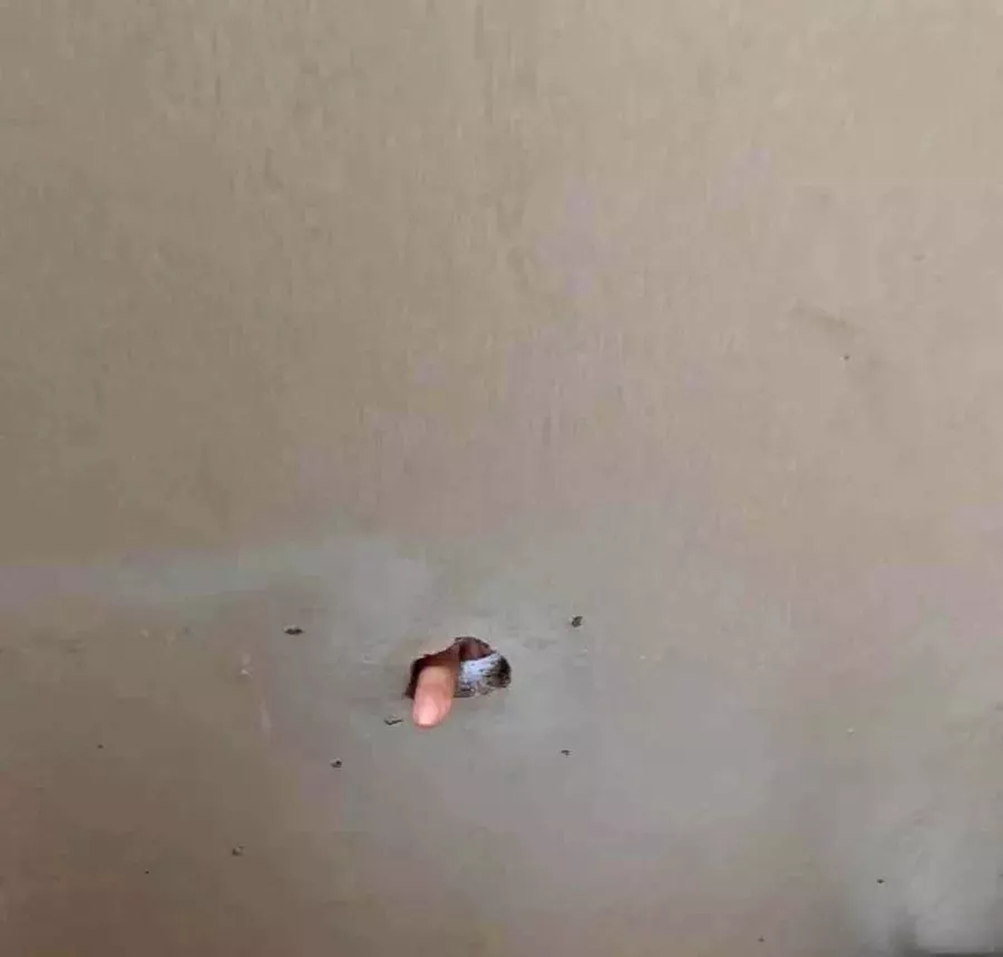 大学城鸟洞探秘 - 51虹马 大学城鸟洞探秘 - 51虹马