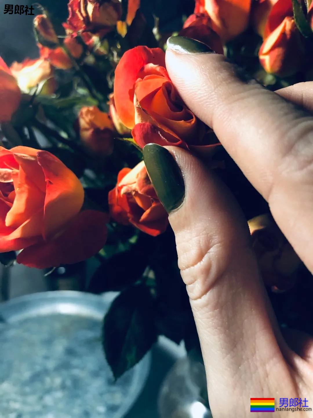 国内首家互联网大厂明确包容不同性取向 - 51虹马