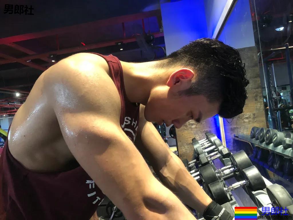 后翘188长腿筋霸小狼狗，腹肌腱子肉身材，哪哪都太强！ - 51虹马