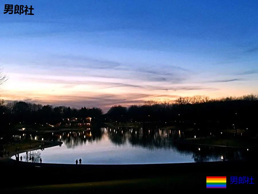 疫情中的海外华人同志，“该不该回国”成为他们最大的问题！ - 51虹马