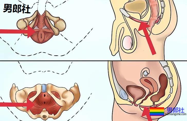长期做0真的会漏S吗？ - 51虹马