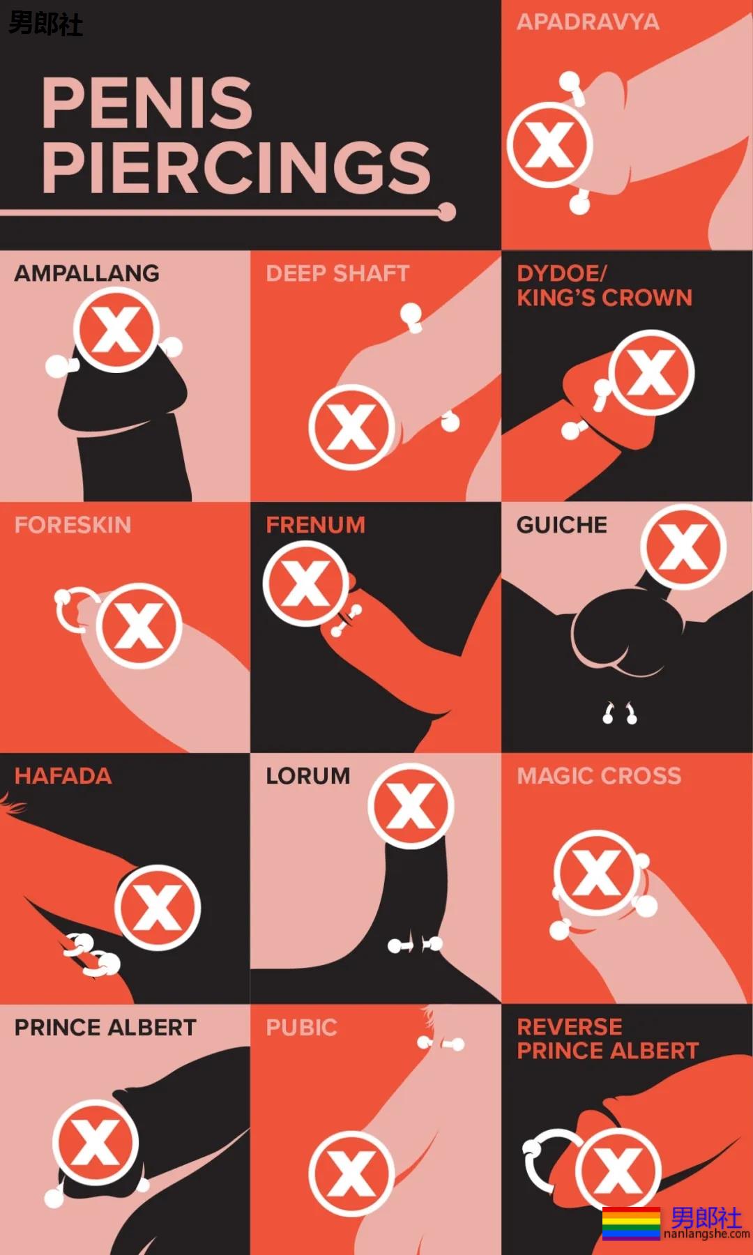 入珠1和穿孔0，小众性文化的审美风险 - 51虹马