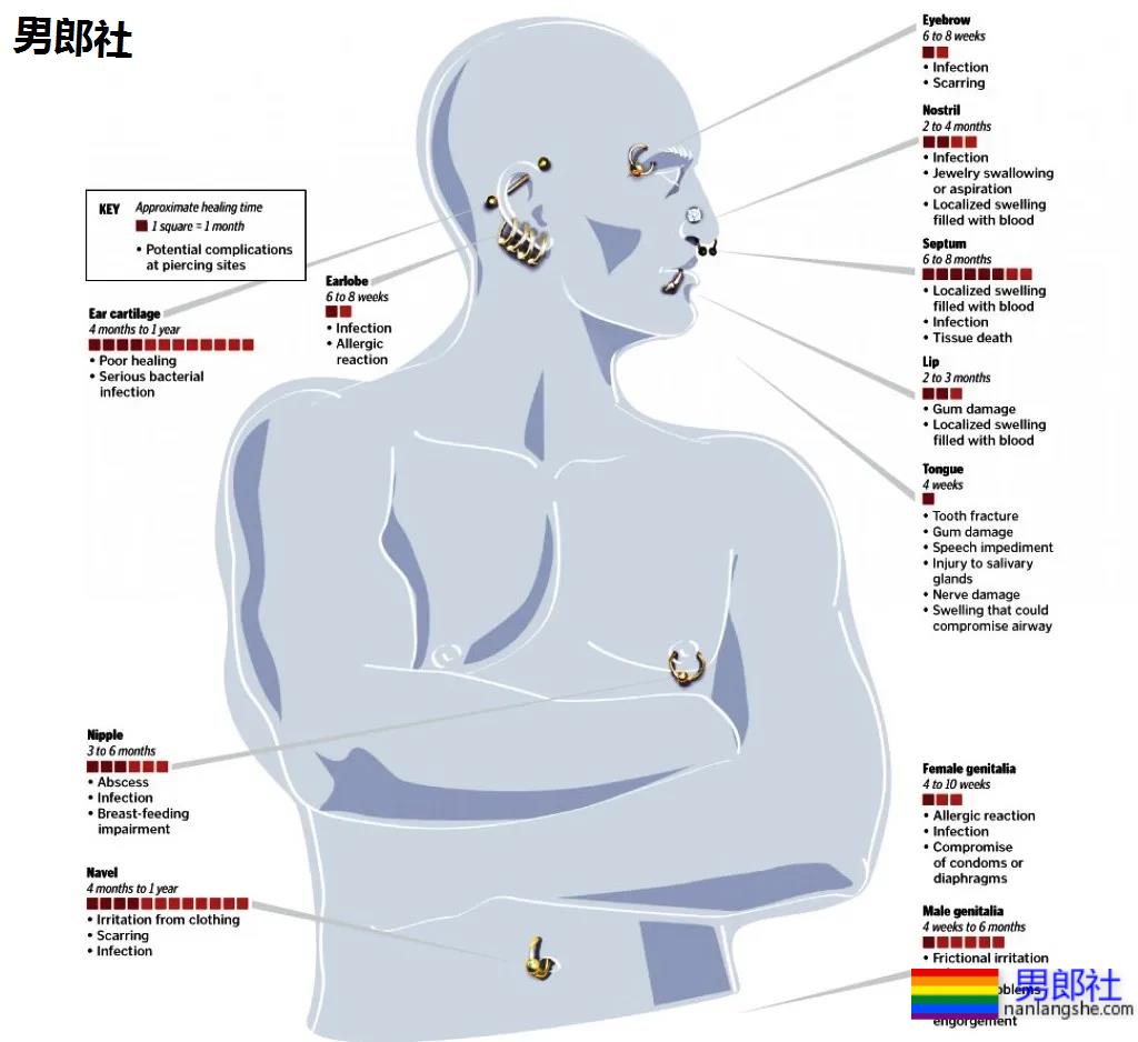 入珠1和穿孔0，小众性文化的审美风险 - 51虹马