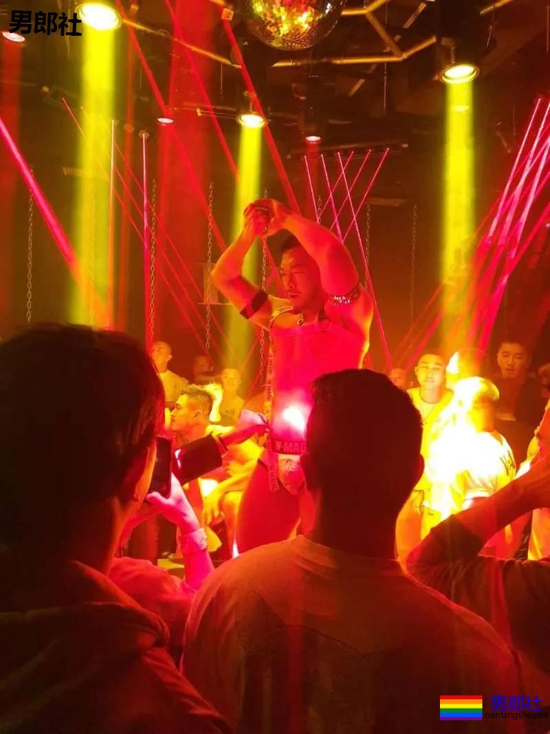 台大兽医高材生弃白袍当“脱衣舞猛男” 一路红到日本！ - 51虹马