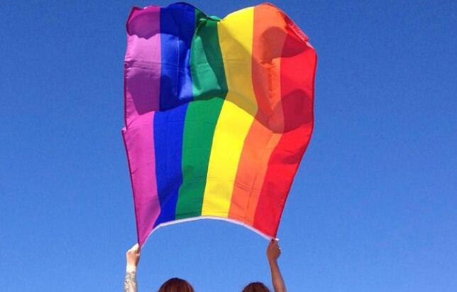 一场规模空前的在线骄傲节有望在今夏举行 - 51虹马