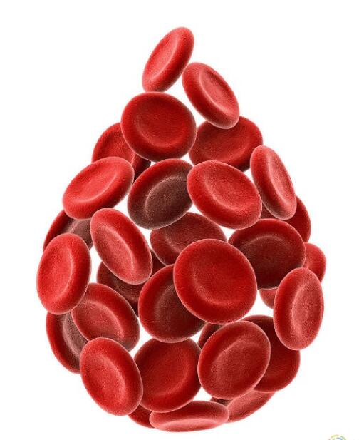 美国FDA放宽男同献血限制-51虹马