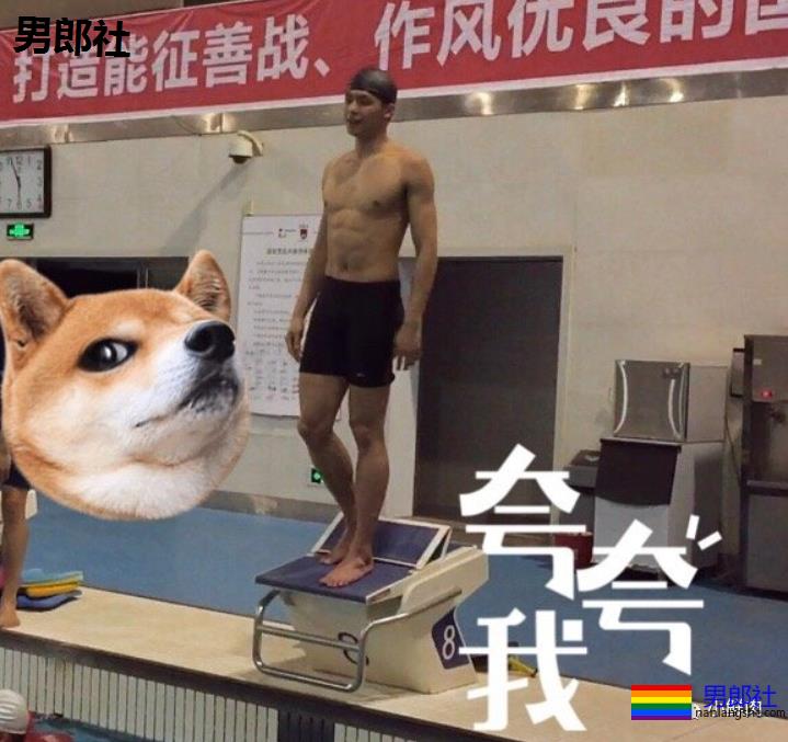 186CM体坛翘臀小野豹走红，这看点不输宁泽涛陈艾森！ - 51虹马