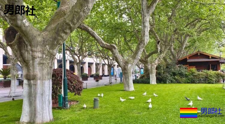 性取向曝光后，他被取消保研资格··· - 51虹马