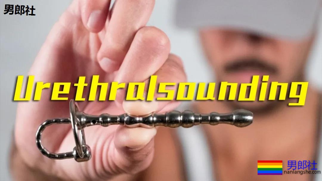 3个月,研究了200多个推特网黄账号,总结出…… - 51虹马 3个月,研究了200多个推特网黄账号,总结出…… - 51虹马