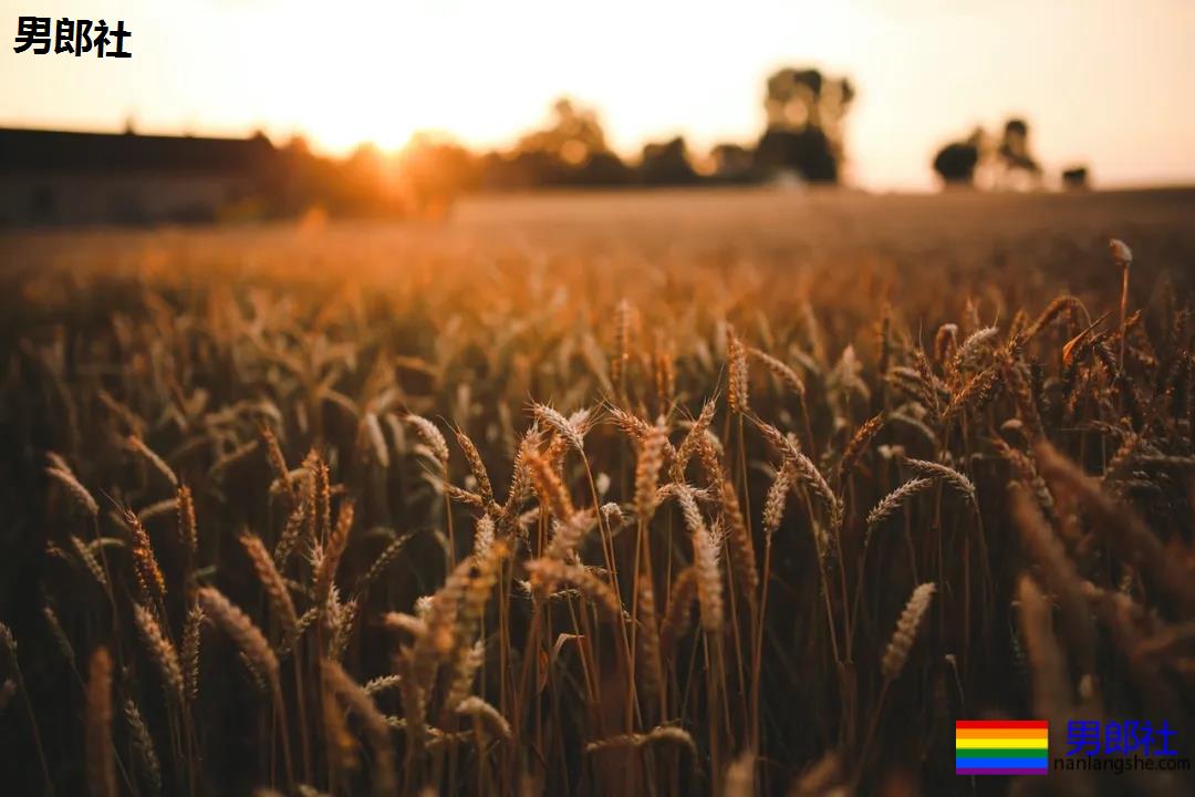 我是如何被人恶意传染艾滋病的 - 51虹马 我是如何被人恶意传染艾滋病的 - 51虹马