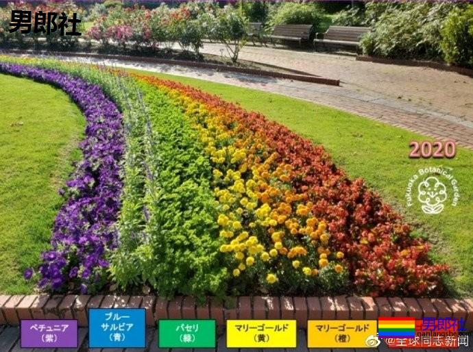 日本：福冈市植物园种花支持“国际不再恐同日” - 51虹马