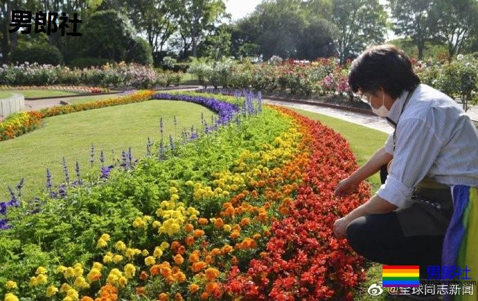 日本：福冈市植物园种花支持“国际不再恐同日” - 51虹马