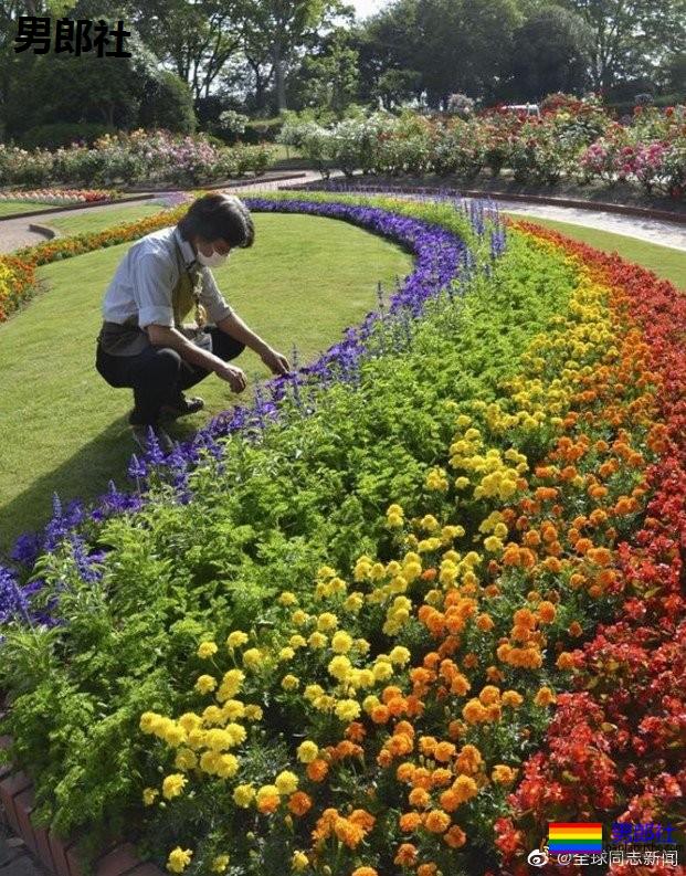 日本：福冈市植物园种花支持“国际不再恐同日” - 51虹马
