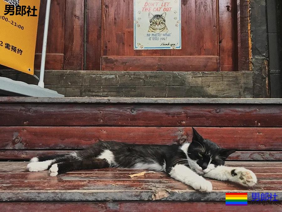 与炮友同居的日子 - 51虹马