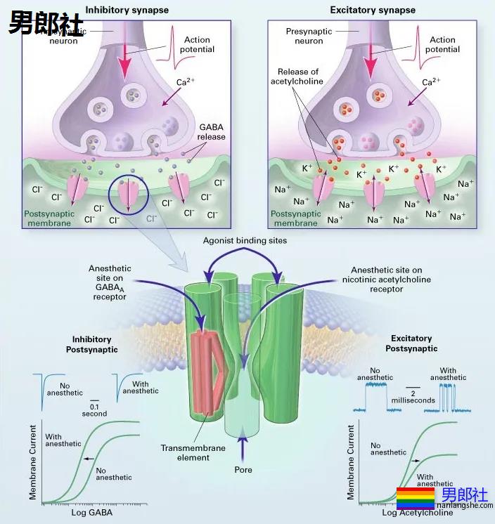 如何扩肛才能减轻0号疼痛？ - 51虹马