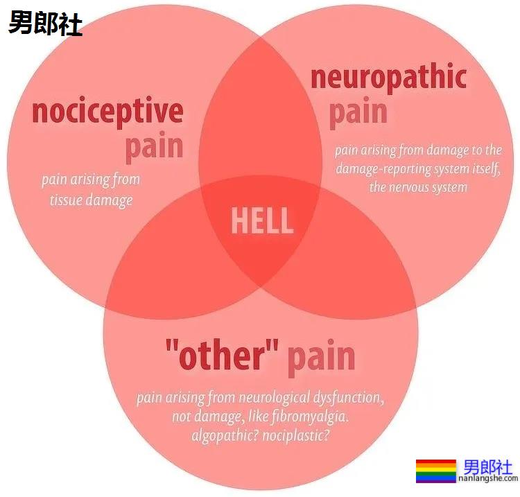 如何扩肛才能减轻0号疼痛？ - 51虹马
