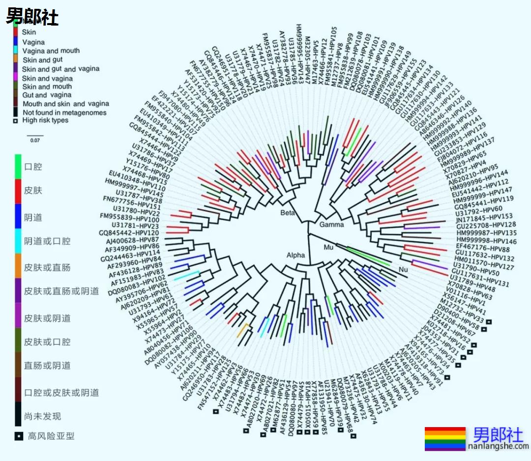 菊花长疣物，需不需要动手术？ - 51虹马