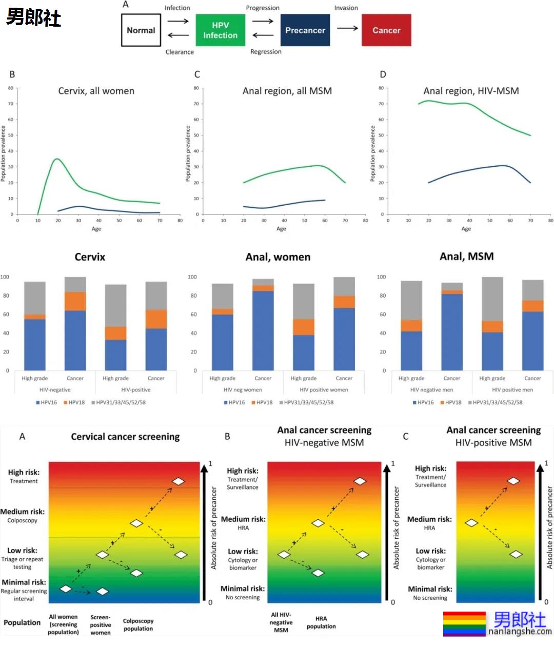 菊花长疣物，需不需要动手术？ - 51虹马