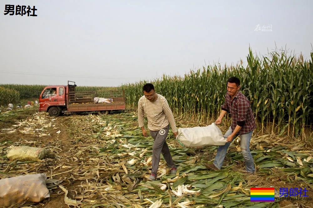 那对在河北农村开超市的网红夫夫,后来怎么样了? - 51虹马 那对在河北农村开超市的网红夫夫,后来怎么样了? - 51虹马