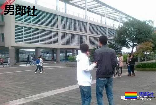 心痛！重庆二外17岁天才少年或因性别问题认同跳楼身亡 - 51虹马