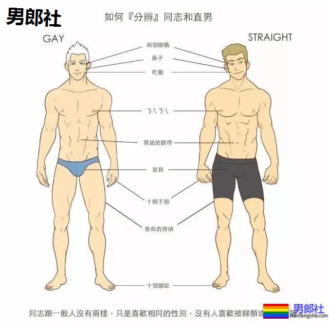 钙的日常看到最后戳中泪点 - 51虹马 钙的日常看到最后戳中泪点 - 51虹马
