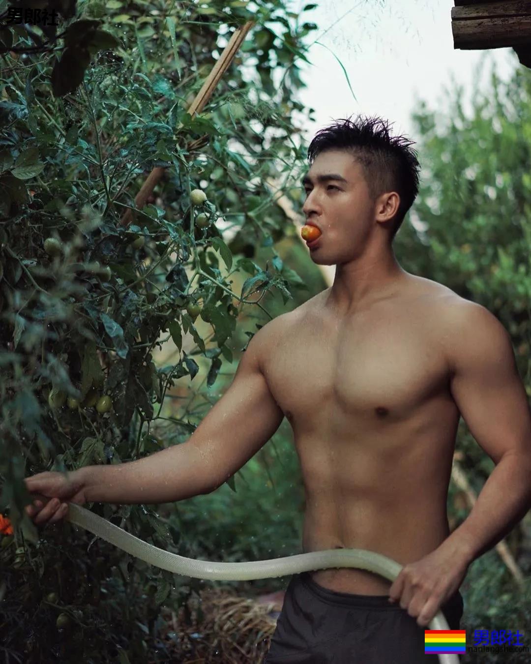 Gay圈名媛排行TOP10 - 51虹马