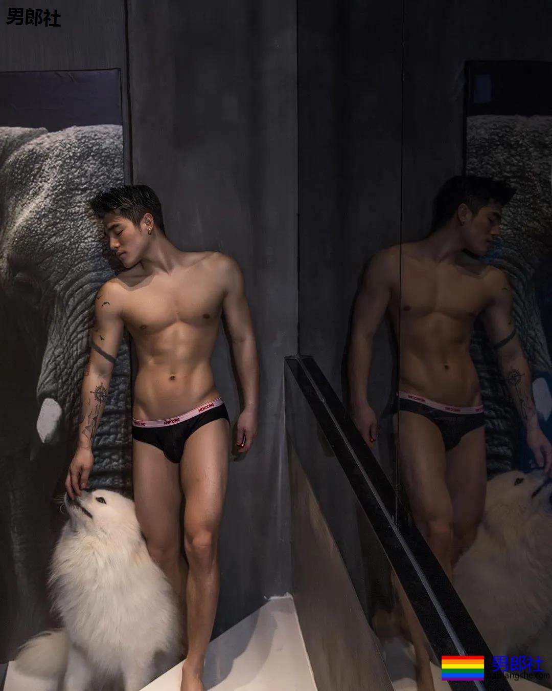 Gay圈名媛排行TOP10 - 51虹马