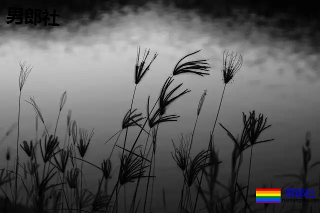 都说成都是gay都！成都人，你真的能接受同性恋吗？-51虹马