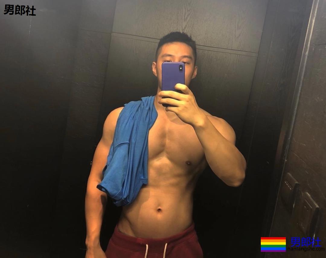 粗腿大胸大鼻子，忠犬小哥自带一身腱子肉，太可了！ - 51虹马