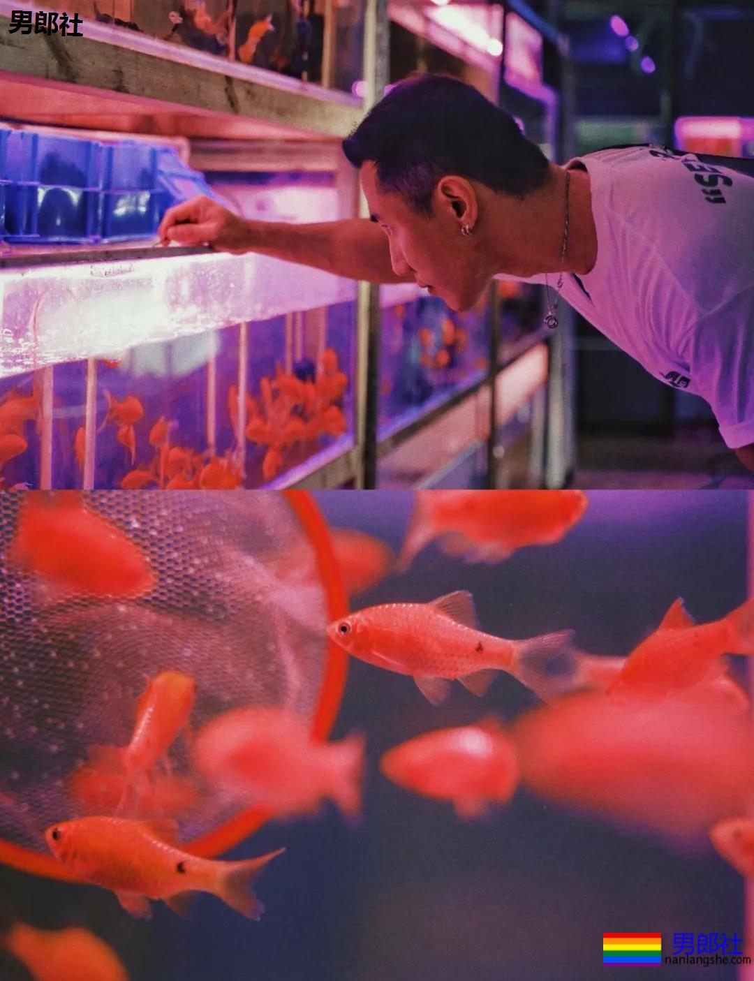 不惧过气，他是重庆gay圈一代“明飘”！ - 51虹马