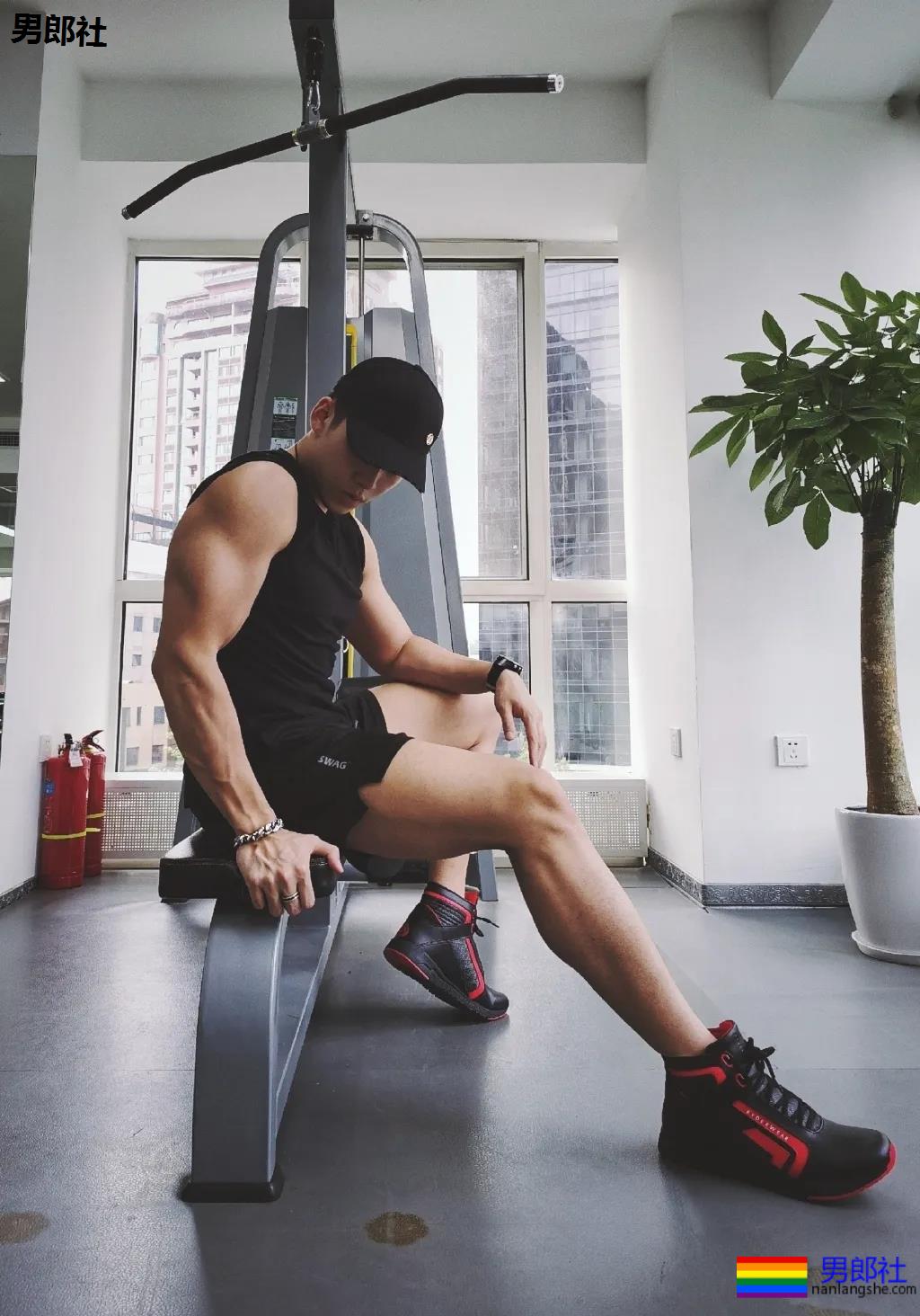 让何炅弯腰运动小狼狗火上热搜！体育生私教素人肌肉男，这都有! - 51虹马