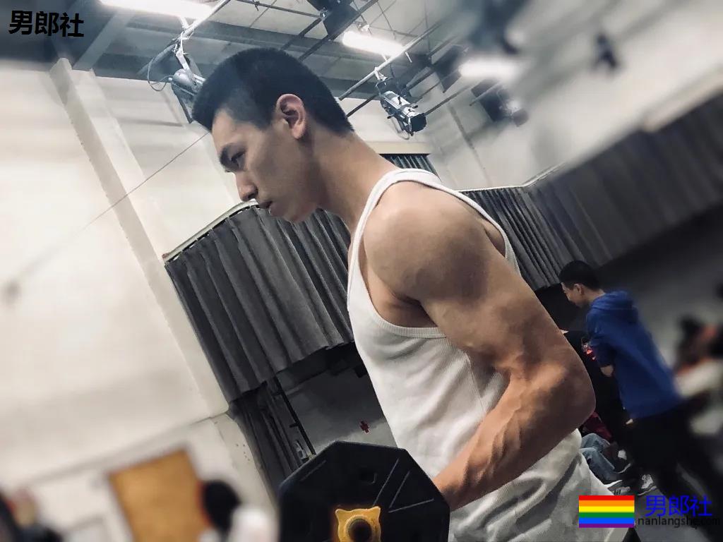 让何炅弯腰运动小狼狗火上热搜！体育生私教素人肌肉男，这都有! - 51虹马