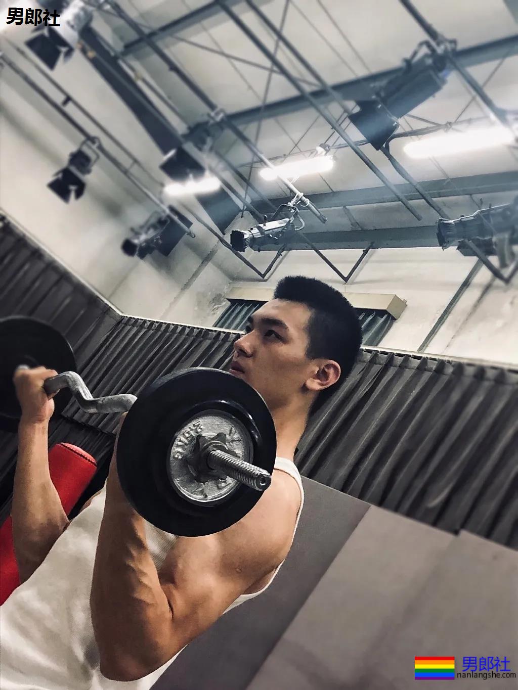 让何炅弯腰运动小狼狗火上热搜！体育生私教素人肌肉男，这都有! - 51虹马