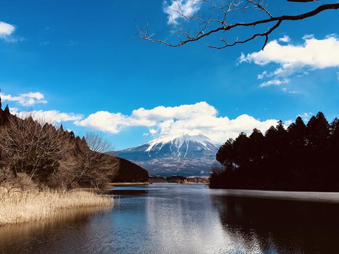 我与日本教授的午后花火 - 51虹马