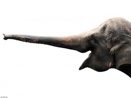 15个男同志0的辛酸,告诉你为什么当0比1更辛苦 - 51虹马 15个男同志0的辛酸,告诉你为什么当0比1更辛苦 - 51虹马