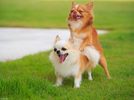 15个男同志0的辛酸,告诉你为什么当0比1更辛苦 - 51虹马 15个男同志0的辛酸,告诉你为什么当0比1更辛苦 - 51虹马