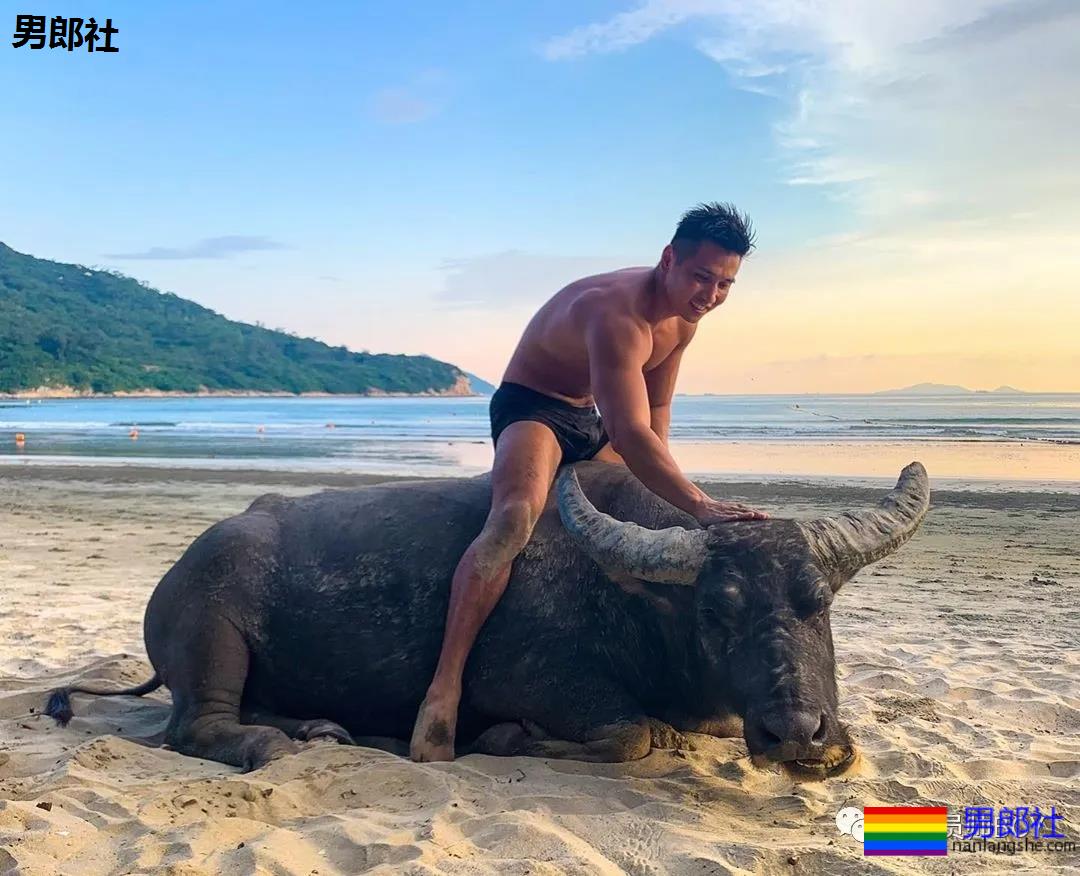 肌肉消防员参选“香港先生”落选,如今靠大尺度内裤照火了! - 51虹马 肌肉消防员参选“香港先生”落选,如今靠大尺度内裤照火了! - 51虹马