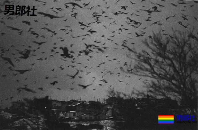 TAO不住的好Gay,顶不住的深柜 - 51虹马 TAO不住的好Gay,顶不住的深柜 - 51虹马