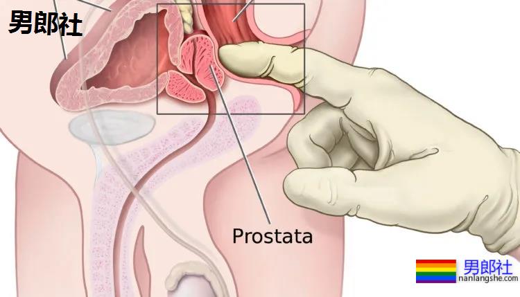欧美国家的同志按摩是种什么样的体验？ - 51虹马