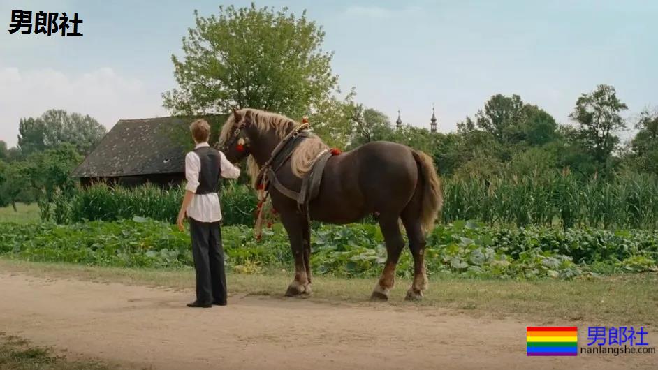 高分短片《孔雀》：波西米亚少年情史 - 51虹马