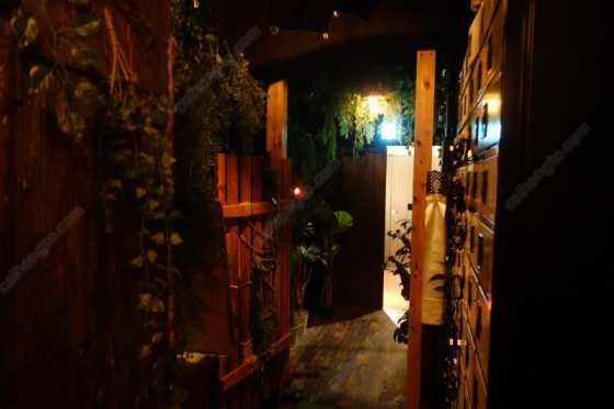 城市内的森林-东京发展场BEARS CAMP - 51虹马