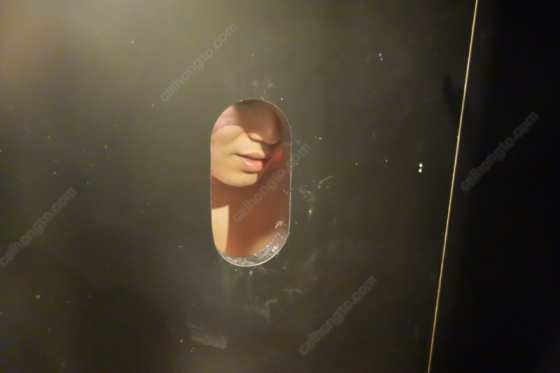 城市内的森林-东京发展场BEARS CAMP - 51虹马