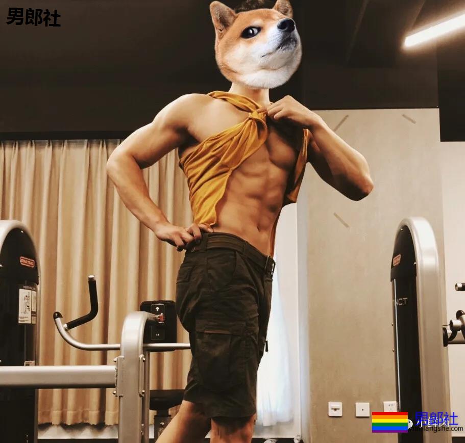 这场硬照漫天的身材与颜值较量，上海教练拿第1没得说！ - 51虹马