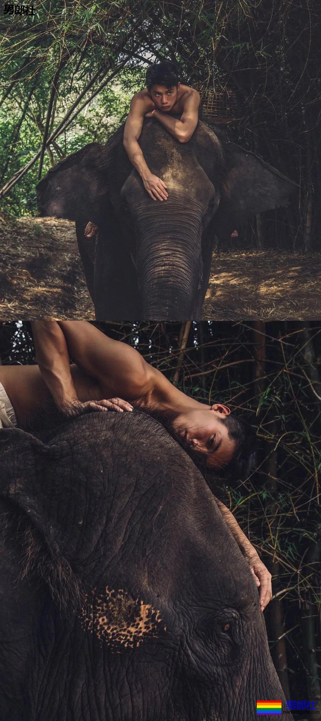 肌肉帅哥骑马驯兽，ins出柜秀男友 - 51虹马