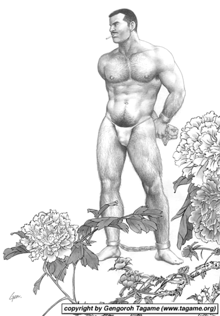 男男浪漫恋爱没感觉，看SM才兴奋 - 51虹马