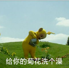 小0福音，菊花保养指南！！！ - 51虹马