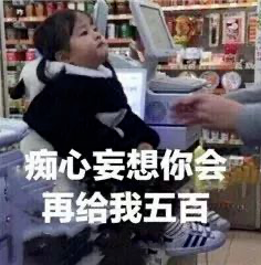 小0福音，菊花保养指南！！！ - 51虹马